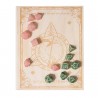 Book of Dice - Elvish Stories + 2 exclusive dice sets