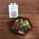 Enchanted Forest Wooden Dice Tray + Elvish Shimmering pink & White Dice Set