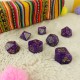 Llama Dice Set: Zippy