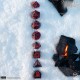 Game of Thrones. Targaryen Dice Set.