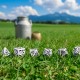 Cow Dice Set: MOOzilla