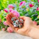 Full Art Dice™ Set: Roses