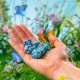 Full Art Dice Set™: Butterfly