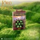 The Lord of the Rings: Shire Dice Set